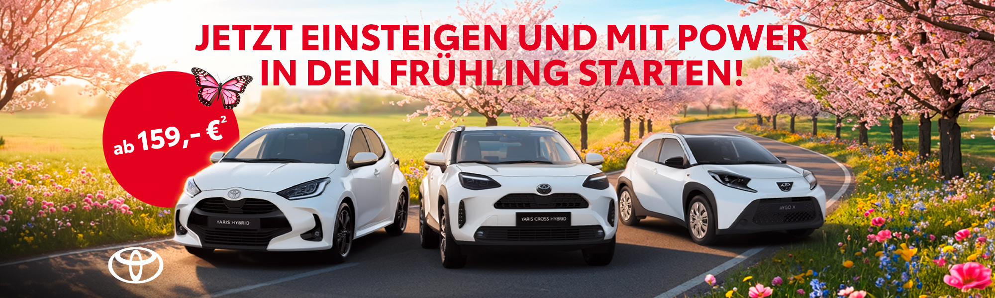 Header Summer Special