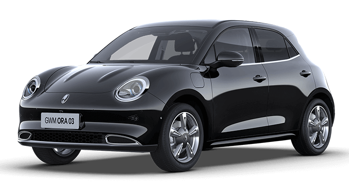 Ansicht GWM ORA 03