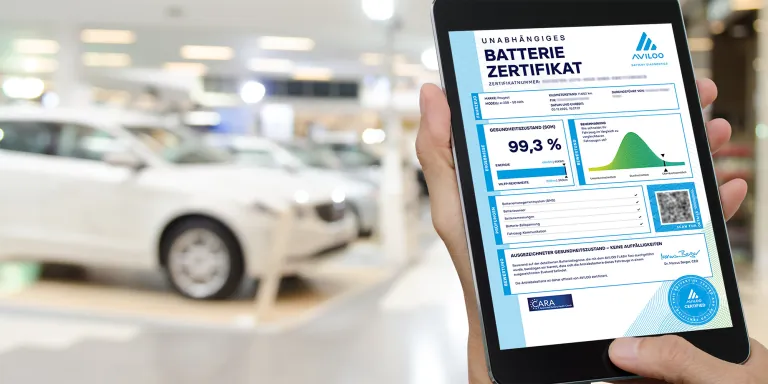 Werkstatt-Inspektion-Service - Kopie